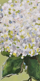 “Hydrangea 2”