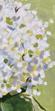 “Hydrangea 1”