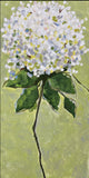 “Hydrangea 1”