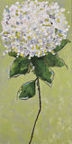 “Hydrangea 2”