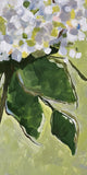 “Hydrangea 1”