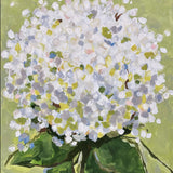 “Hydrangea 1”