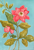 “Purposeful Beauty”