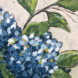 “Hydrangea Blues”