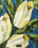 “White Tulips”